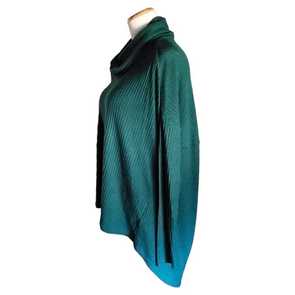 Anthropologie Saturday Sunday Green Rib Knit Sweater Cowl Neck Size XS/S - Picture 3 of 11